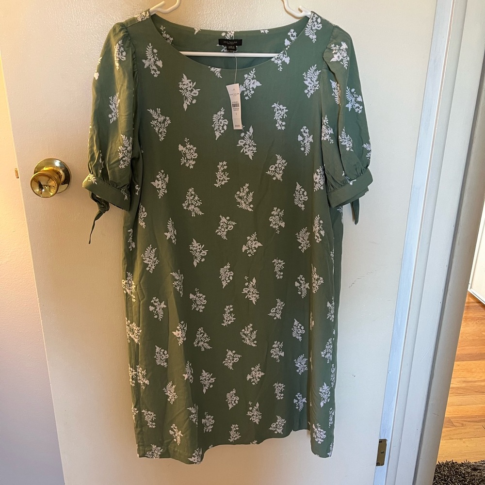 Small Ann Taylor Sage Green Dress with Short Cuffed Sleeves. New with Tags!